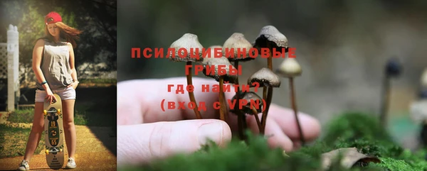 гидропоника Абдулино