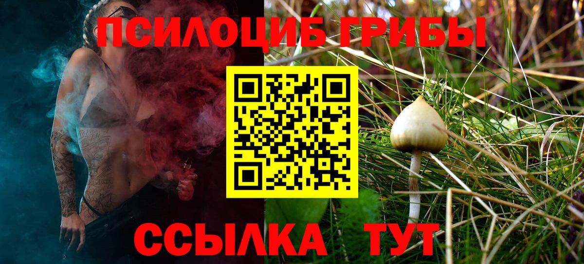 Галлюциногенные грибы Cubensis Татарск