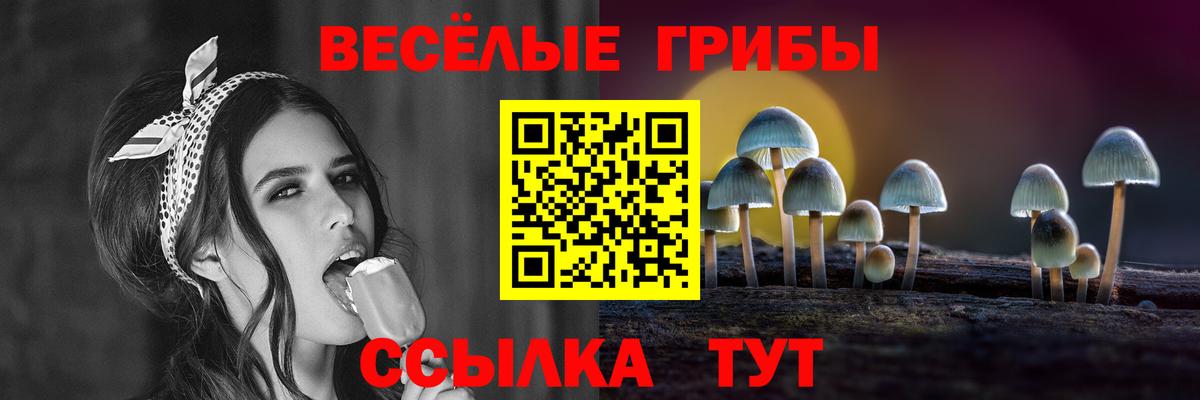 Псилоцибиновые грибы Magic Shrooms  Вход с VPN  Галлюциногенные грибы MAGIC MUSHROOMS  как найти закладки  Татарск 